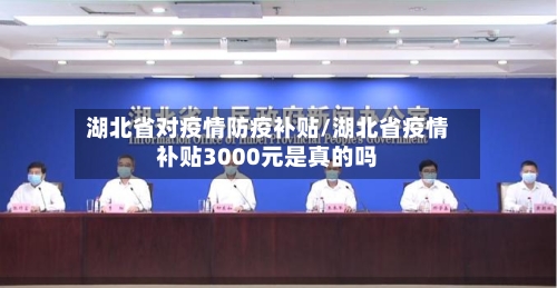 湖北省对疫情防疫补贴/湖北省疫情补贴3000元是真的吗-第1张图片