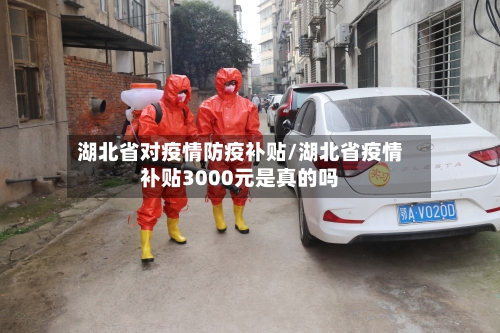 湖北省对疫情防疫补贴/湖北省疫情补贴3000元是真的吗-第2张图片