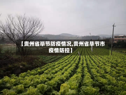 【贵州省毕节防疫情况,贵州省毕节市疫情防控】-第3张图片