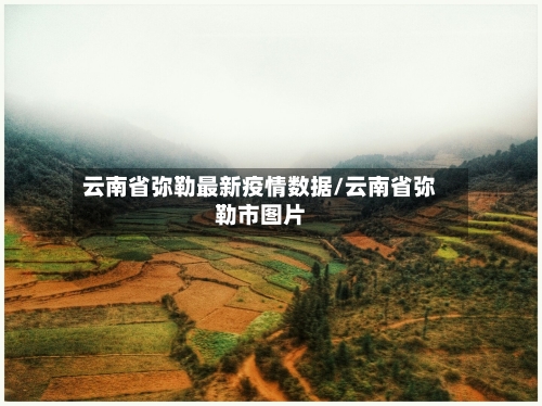 云南省弥勒最新疫情数据/云南省弥勒市图片-第1张图片