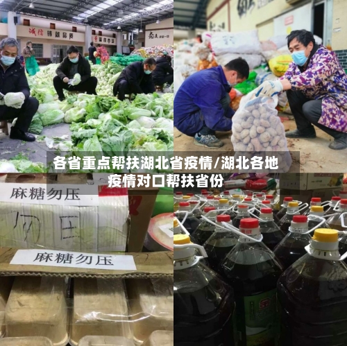 各省重点帮扶湖北省疫情/湖北各地疫情对口帮扶省份-第3张图片