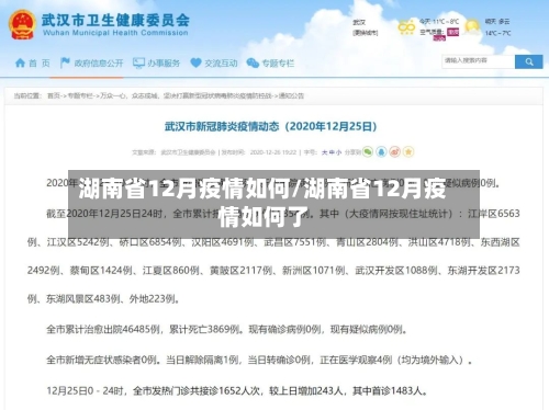 湖南省12月疫情如何/湖南省12月疫情如何了-第2张图片