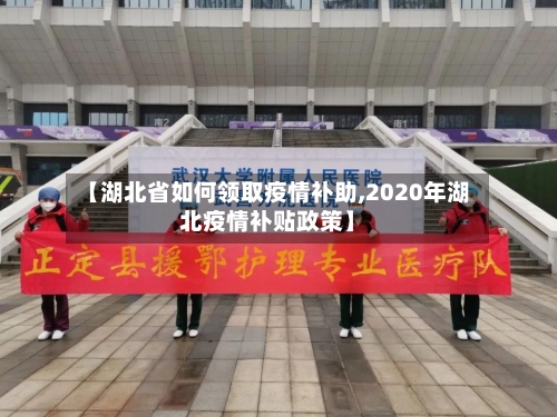 【湖北省如何领取疫情补助,2020年湖北疫情补贴政策】-第1张图片
