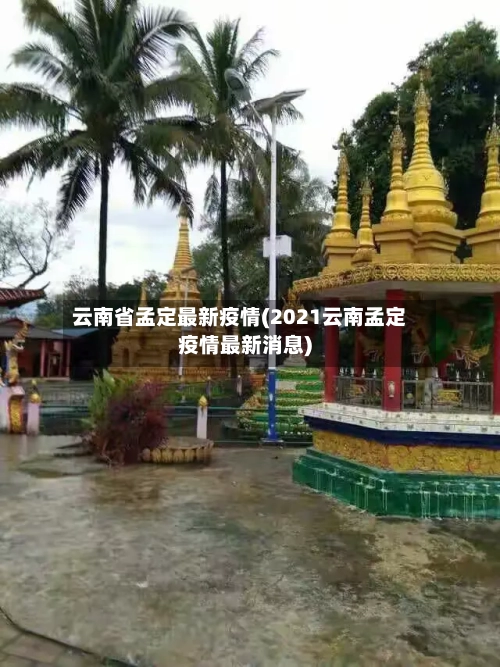 云南省孟定最新疫情(2021云南孟定疫情最新消息)-第3张图片