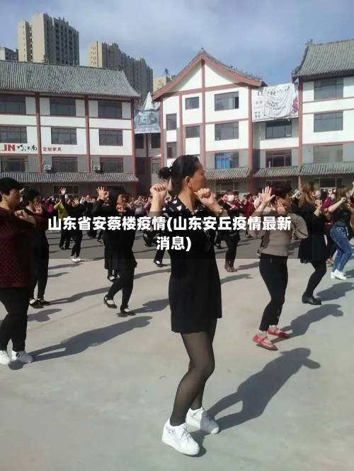 山东省安蔡楼疫情(山东安丘疫情最新消息)-第2张图片