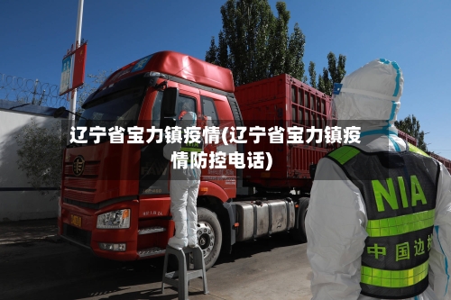 辽宁省宝力镇疫情(辽宁省宝力镇疫情防控电话)-第1张图片