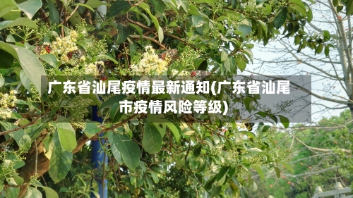 广东省汕尾疫情最新通知(广东省汕尾市疫情风险等级)-第2张图片