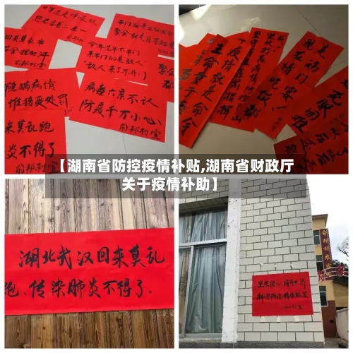 【湖南省防控疫情补贴,湖南省财政厅关于疫情补助】-第1张图片