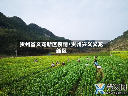 贵州省义龙新区疫情/贵州兴义义龙新区-第2张图片