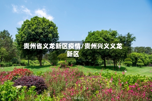 贵州省义龙新区疫情/贵州兴义义龙新区-第3张图片
