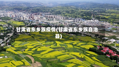 甘肃省东乡族疫情(甘肃省东乡族自治县)-第2张图片