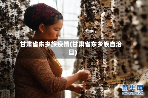 甘肃省东乡族疫情(甘肃省东乡族自治县)-第1张图片