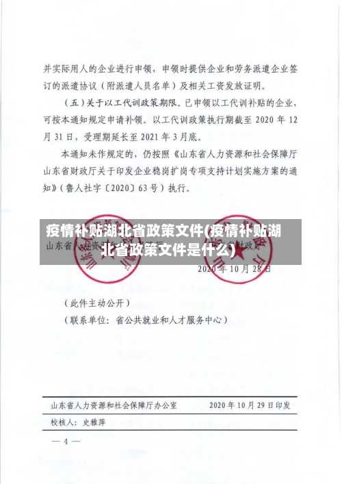 疫情补贴湖北省政策文件(疫情补贴湖北省政策文件是什么)-第3张图片