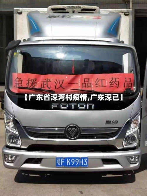 【广东省深湾村疫情,广东深已】-第1张图片