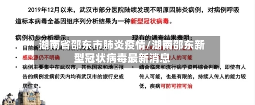 湖南省邵东市肺炎疫情/湖南邵东新型冠状病毒最新消息-第1张图片