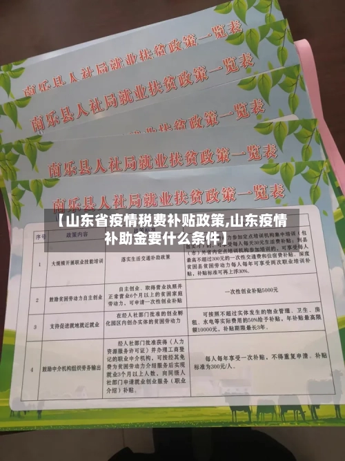 【山东省疫情税费补贴政策,山东疫情补助金要什么条件】-第2张图片