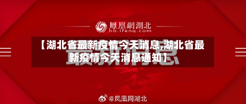 【湖北省最新疫情今天消息,湖北省最新疫情今天消息通知】-第1张图片