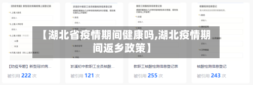 【湖北省疫情期间健康吗,湖北疫情期间返乡政策】-第2张图片