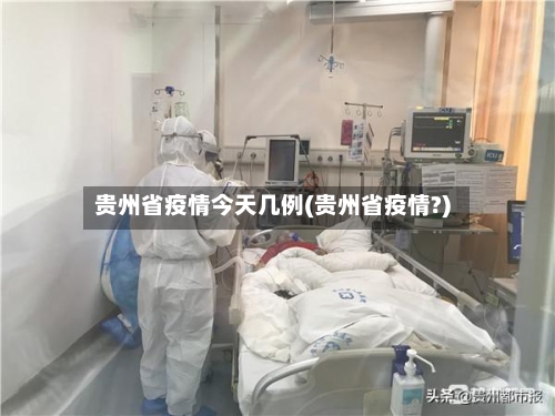 贵州省疫情今天几例(贵州省疫情?)-第2张图片