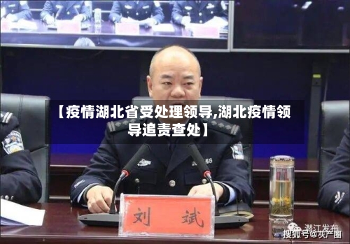 【疫情湖北省受处理领导,湖北疫情领导追责查处】-第1张图片