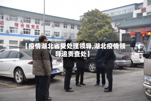 【疫情湖北省受处理领导,湖北疫情领导追责查处】-第2张图片