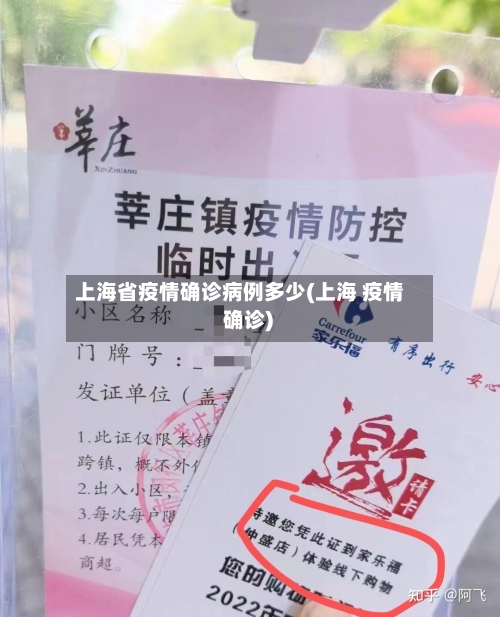 上海省疫情确诊病例多少(上海 疫情 确诊)-第2张图片