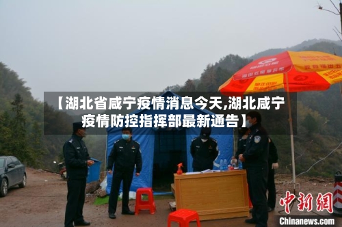 【湖北省咸宁疫情消息今天,湖北咸宁疫情防控指挥部最新通告】-第2张图片