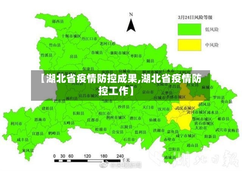 【湖北省疫情防控成果,湖北省疫情防控工作】-第3张图片