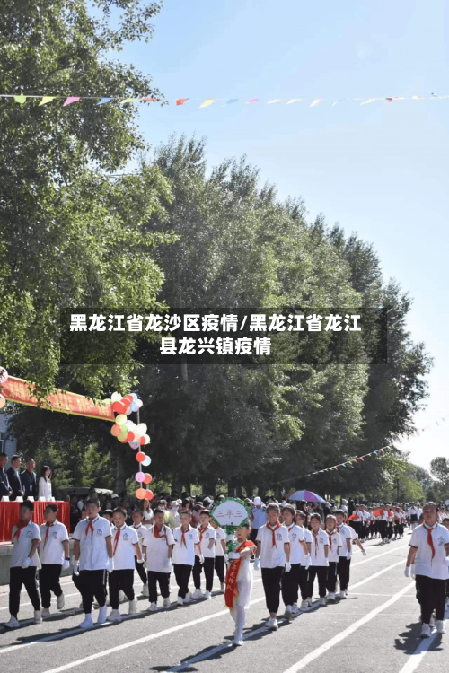 黑龙江省龙沙区疫情/黑龙江省龙江县龙兴镇疫情-第2张图片