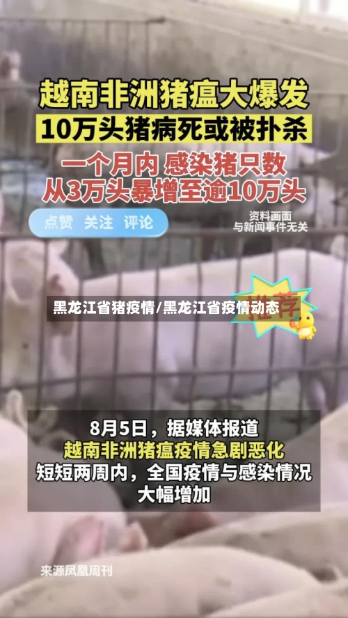 黑龙江省猪疫情/黑龙江省疫情动态-第2张图片
