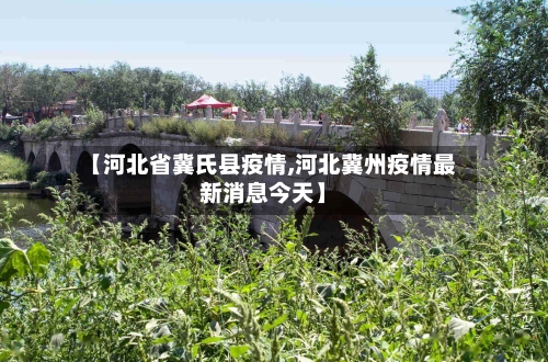 【河北省冀氏县疫情,河北冀州疫情最新消息今天】-第1张图片