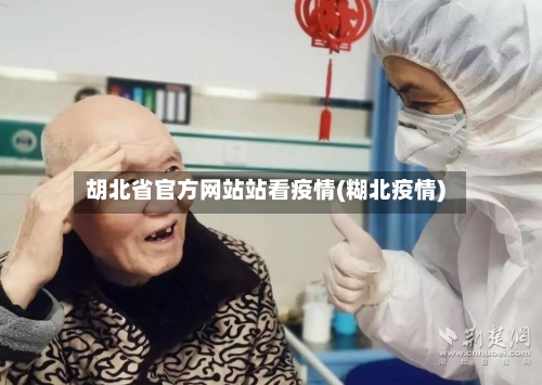 胡北省官方网站站看疫情(糊北疫情)-第1张图片