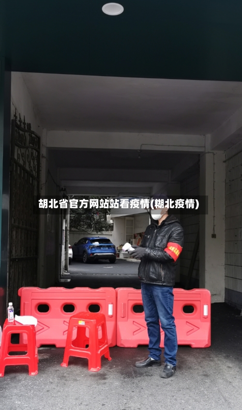 胡北省官方网站站看疫情(糊北疫情)-第2张图片