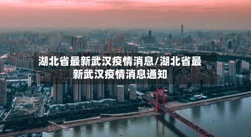 湖北省最新武汉疫情消息/湖北省最新武汉疫情消息通知-第2张图片