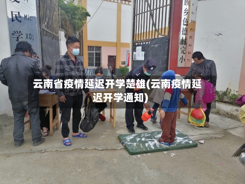 云南省疫情延迟开学楚雄(云南疫情延迟开学通知)-第3张图片