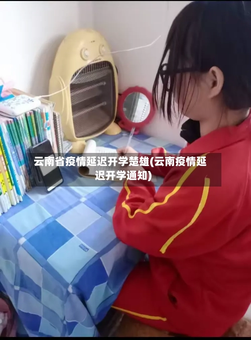 云南省疫情延迟开学楚雄(云南疫情延迟开学通知)-第1张图片