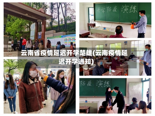 云南省疫情延迟开学楚雄(云南疫情延迟开学通知)-第2张图片
