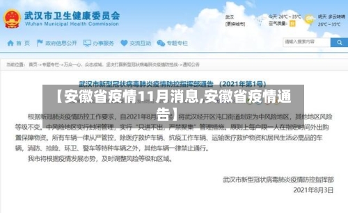 【安徽省疫情11月消息,安徽省疫情通告】-第3张图片