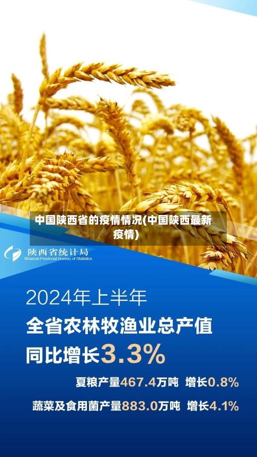 中国陕西省的疫情情况(中国陕西最新疫情)-第2张图片