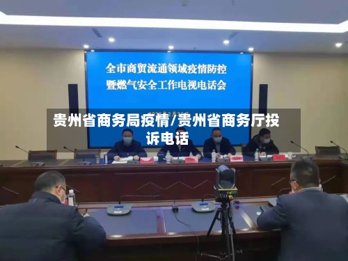 贵州省商务局疫情/贵州省商务厅投诉电话-第2张图片