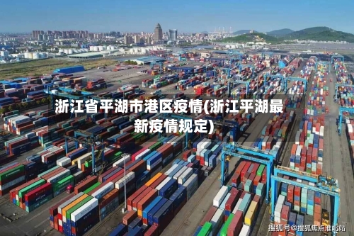 浙江省平湖市港区疫情(浙江平湖最新疫情规定)-第3张图片
