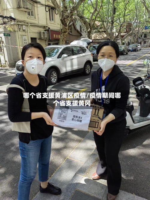 哪个省支援黄浦区疫情/疫情期间哪个省支援黄冈-第3张图片