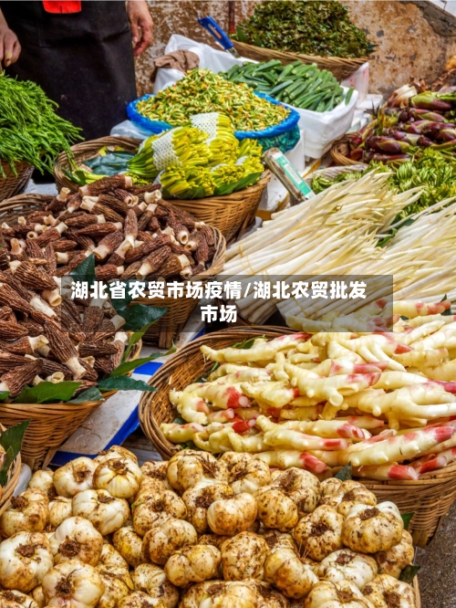 湖北省农贸市场疫情/湖北农贸批发市场-第1张图片