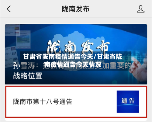 甘肃省陇南疫情通告今天/甘肃省陇南疫情通告今天情况-第2张图片