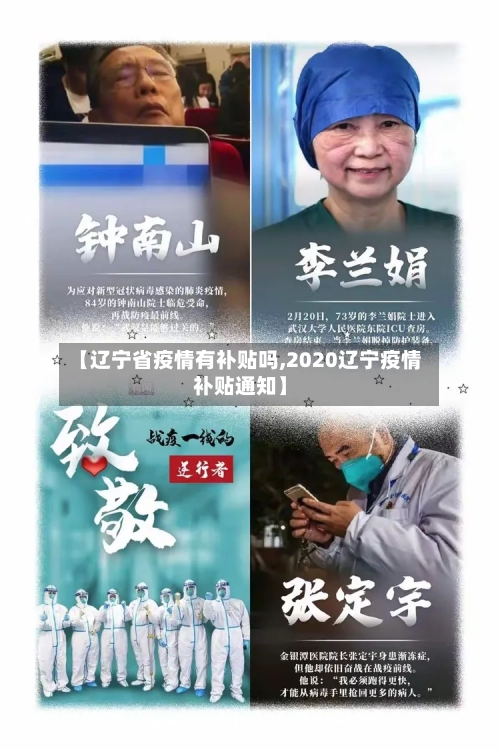 【辽宁省疫情有补贴吗,2020辽宁疫情补贴通知】-第3张图片