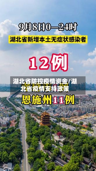 湖北省防控疫情资金/湖北省疫情支持政策-第1张图片