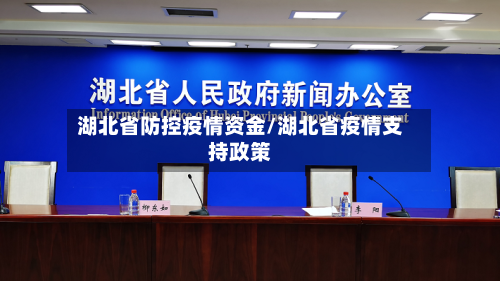 湖北省防控疫情资金/湖北省疫情支持政策-第3张图片