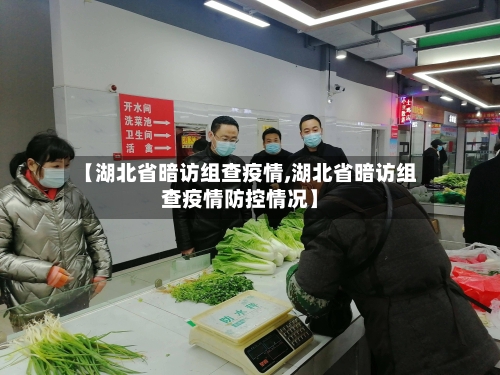 【湖北省暗访组查疫情,湖北省暗访组查疫情防控情况】-第2张图片
