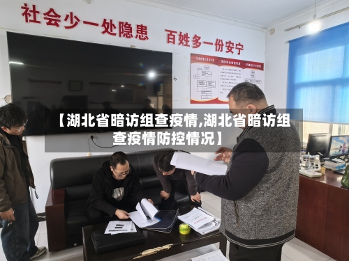 【湖北省暗访组查疫情,湖北省暗访组查疫情防控情况】-第1张图片