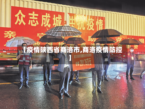 【疫情陕西省商洛市,商洛疫情防控】-第2张图片